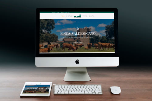 Castillo de Valdesecano - Finca rústica en Maello, Ávila